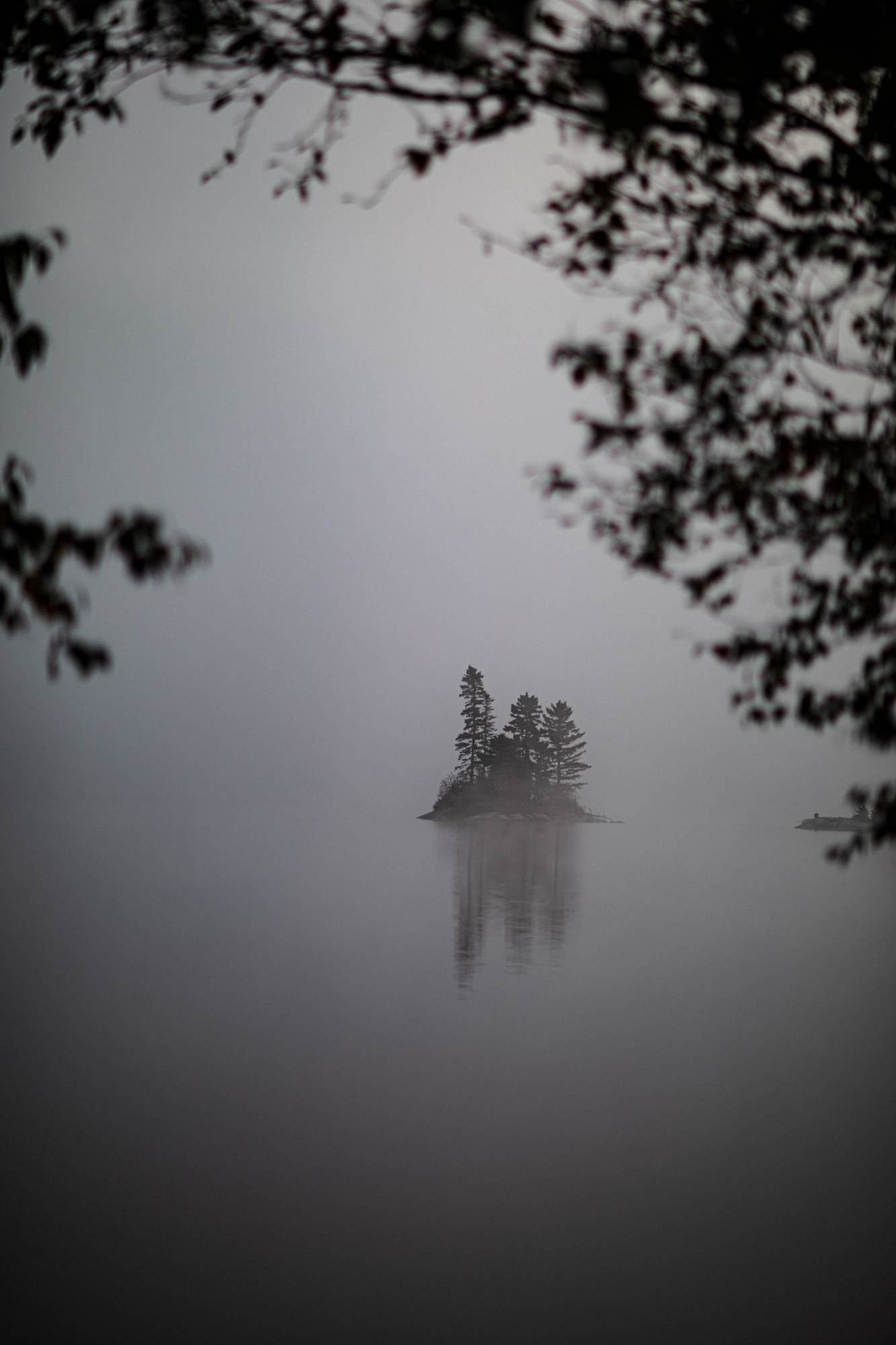 mural fog